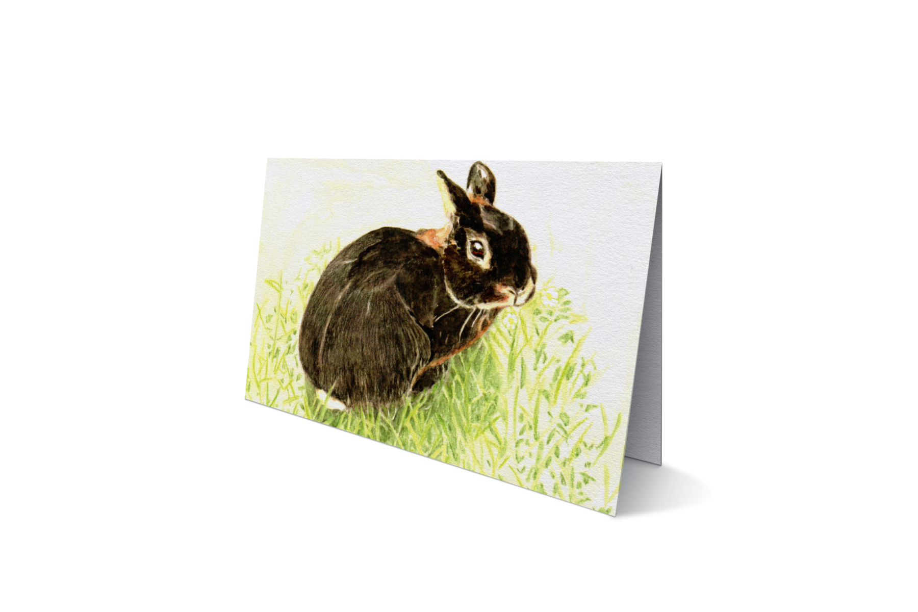 Konijn in het gras