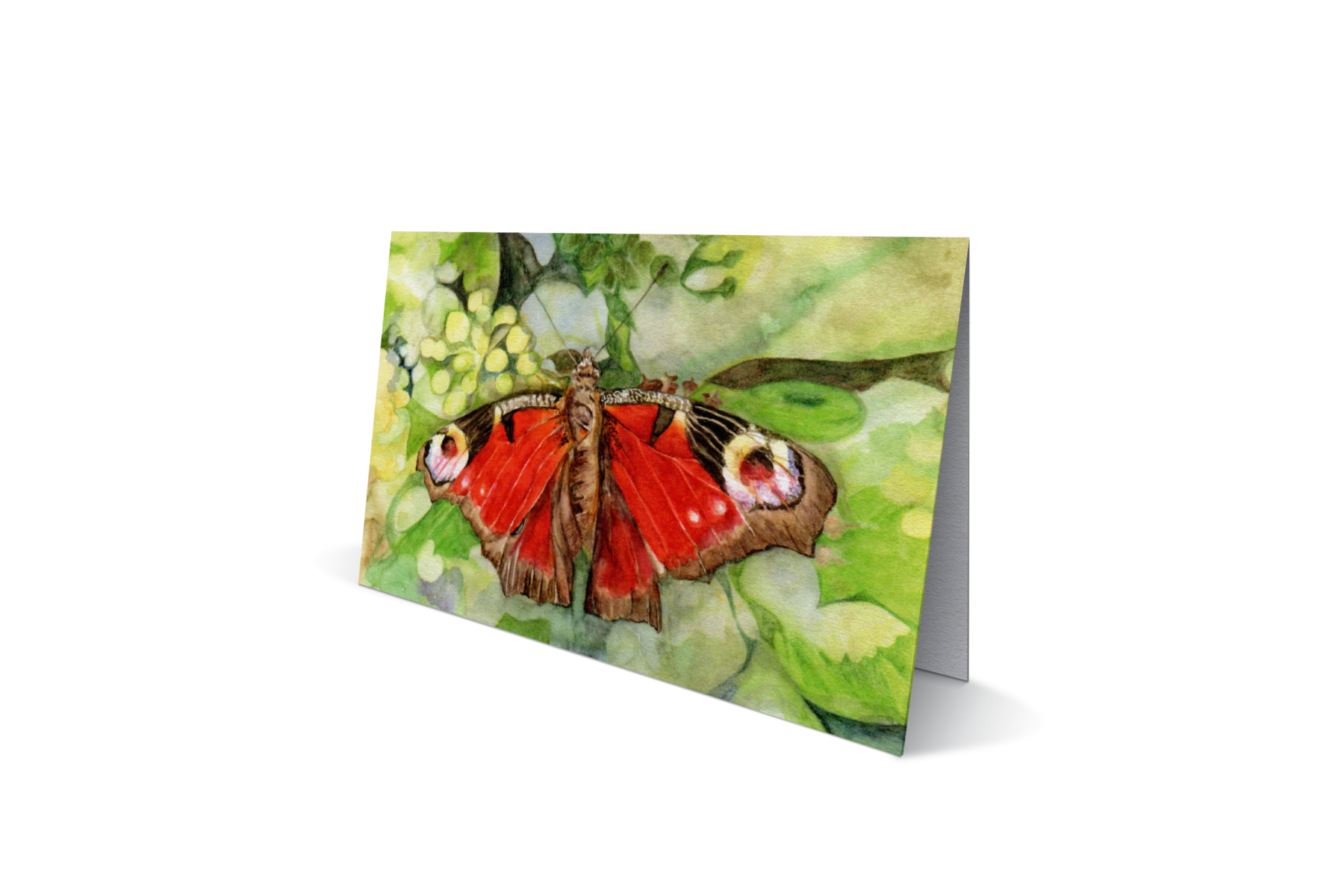 Dagpauwoogvlinder (Rood)