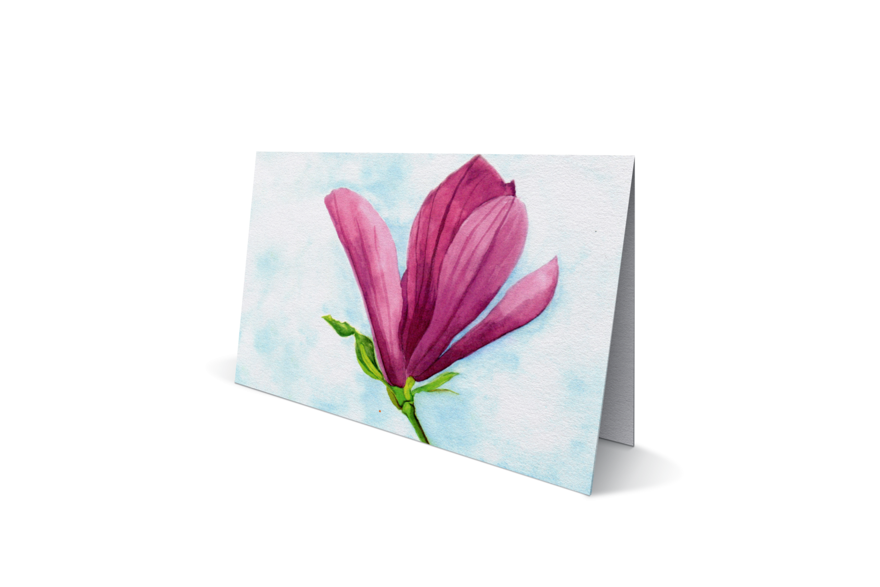Magnoliabloem
