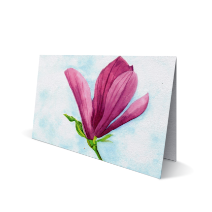 Magnoliabloem