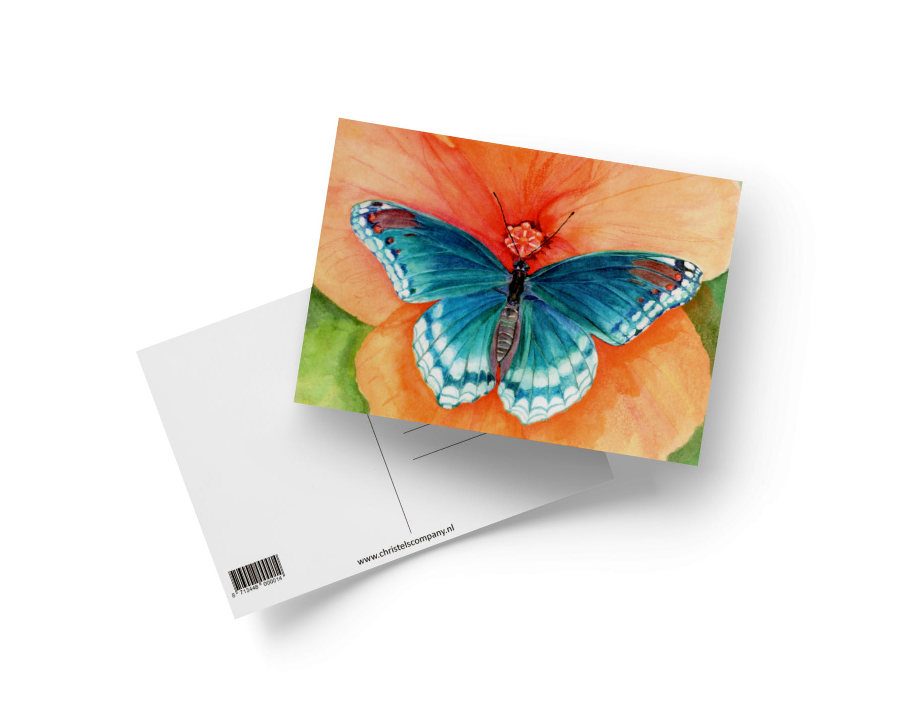 Blauwe vlinder op oranje bloem