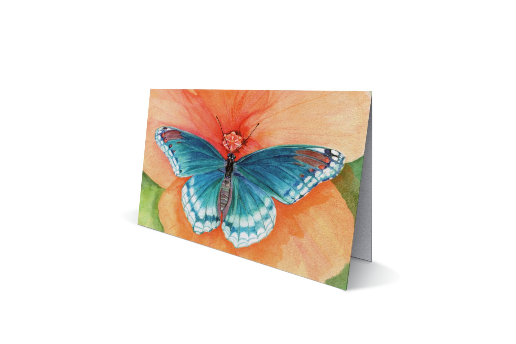 Blauwe vlinder op oranje bloem