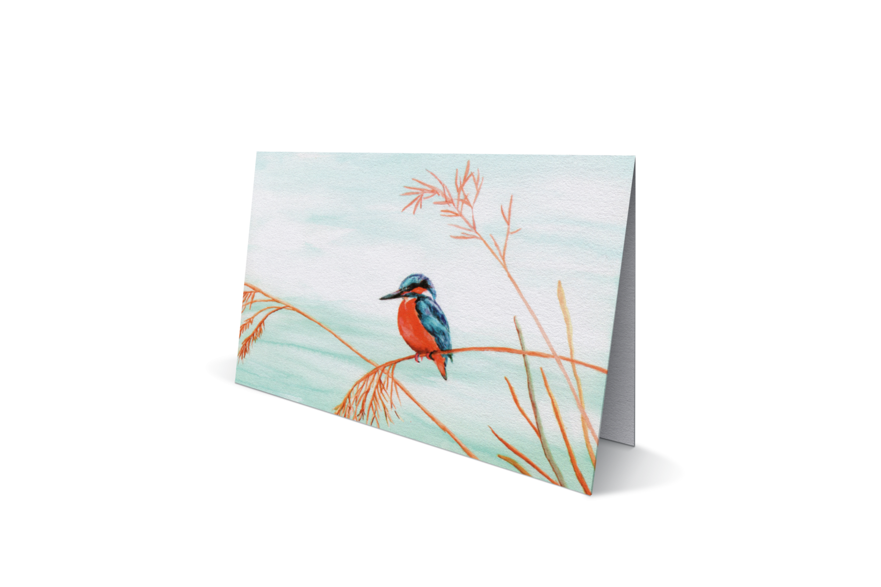 IJsvogel