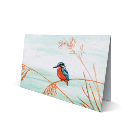 IJsvogel